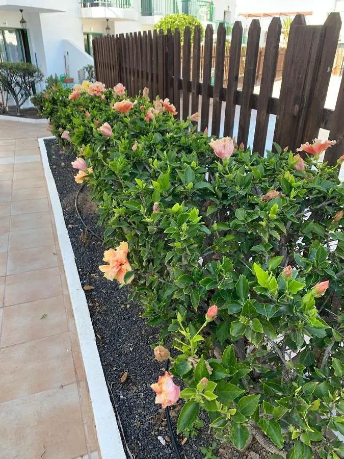 San Valentine Appartamento Corralejo